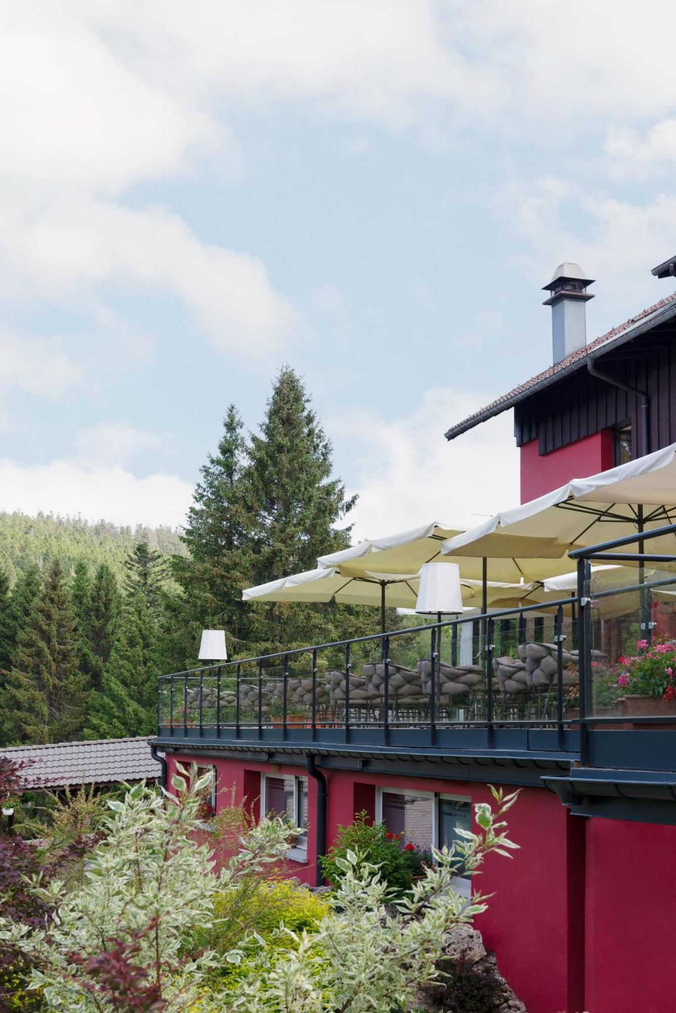 Hotel Restaurant Spa Les Jardins De Sophie Xonrupt-Longemer Kültér fotó