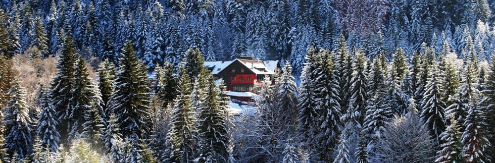 Hotel Restaurant Spa Les Jardins De Sophie Xonrupt-Longemer Kültér fotó